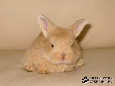 ������������ ��� ������� ������! ;)