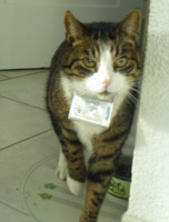 ���� ���� �� ����� �����!