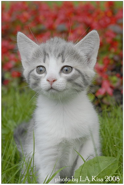 Хорошего вам дня! :)