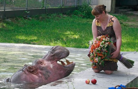 ������! :)