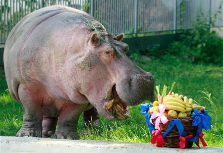 ������! :)