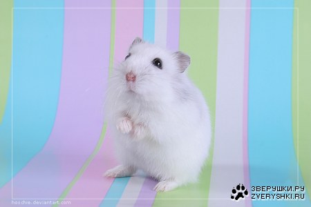 �������� ����� :)