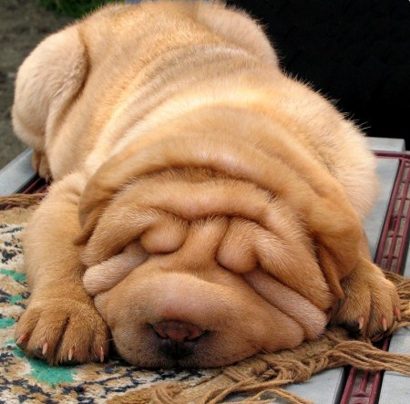 �������� ������� :)