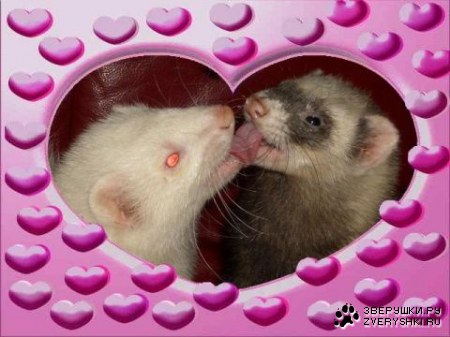 ��� ������!!!