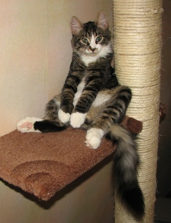 �������������� �������� :)