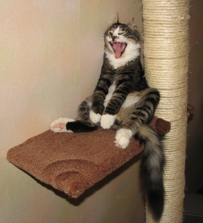 �������������� �������� :)