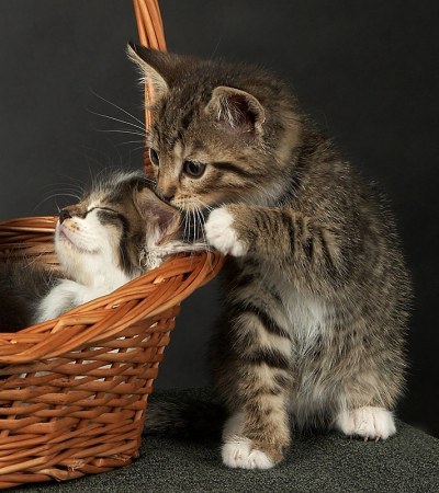 ����������, ����� ������! :)