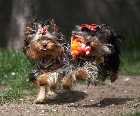 ������� (8 �������� ����)