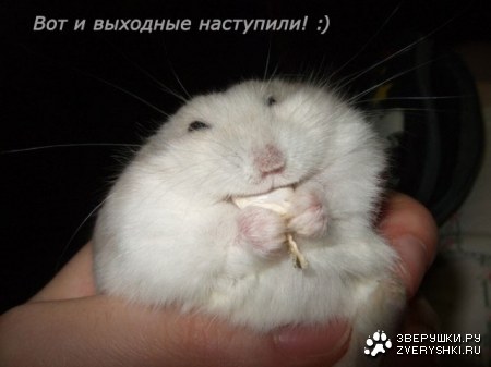 �������� ��� ������! ;)