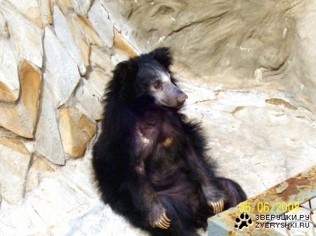 ����� �� �������� :)