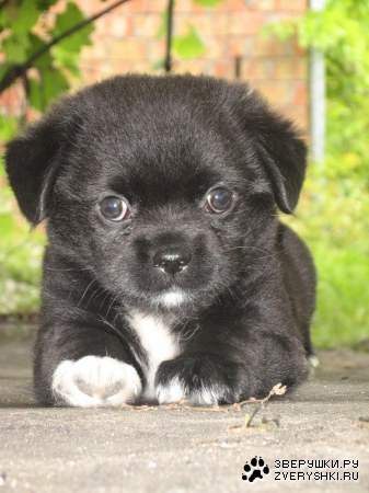 ��������� ���������� :)