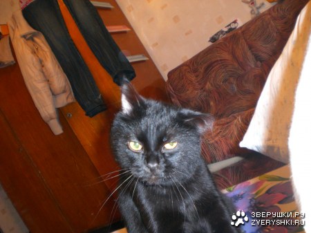 ���� �������� �� �������!