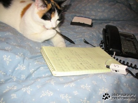 �� ������� ���������! ;)