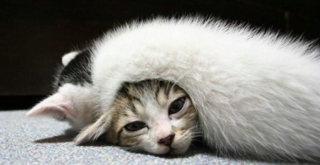 �������� ��� ��������! :)