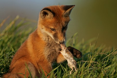 ���������� ;)