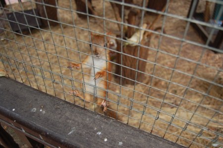 ����������� ����� :)