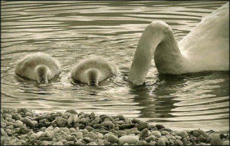 �� ������� :)