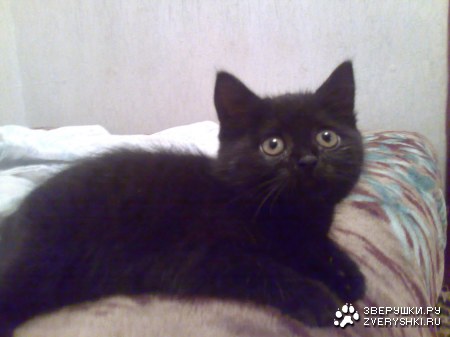 ��������� ���������� ;)