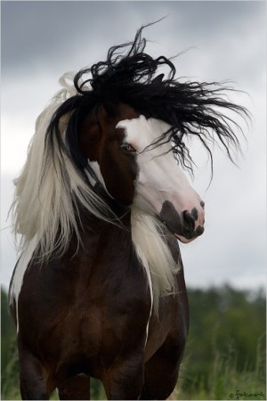 �������� ���������� ������� (9 ����)