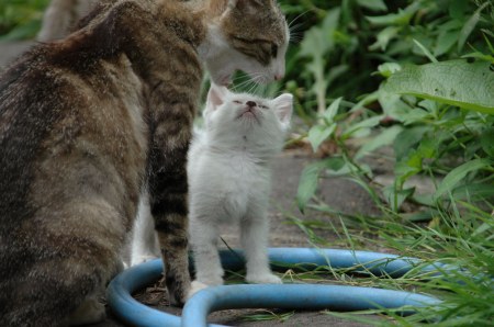 � �������: "������!!!" :)