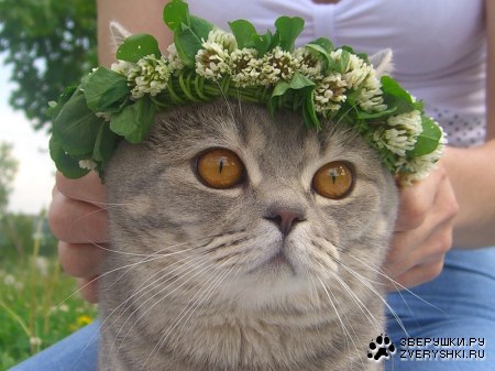 ��������� � ���-�� ���... :)