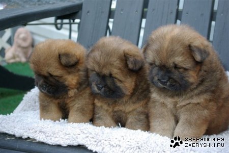 ������ :)