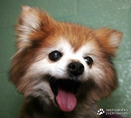 ����������� ;)