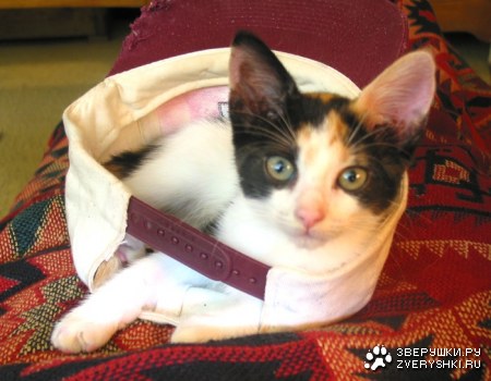 ��� � ����� :)