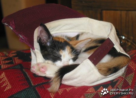 ��� � ����� :)