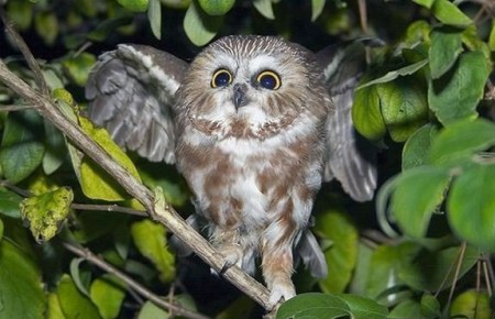 ����� � �������...