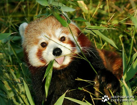 �������� ��� ����������! :)