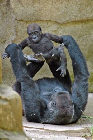 �� ��� � �����! :)