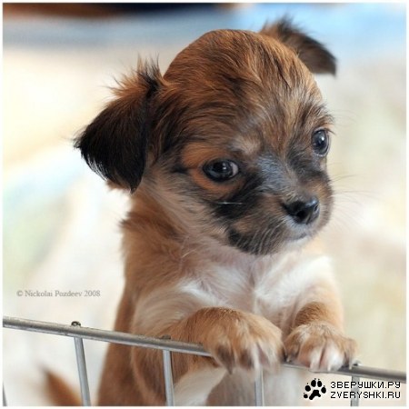 ��������� ��� ������! :)