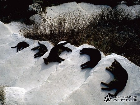 ������ ;)