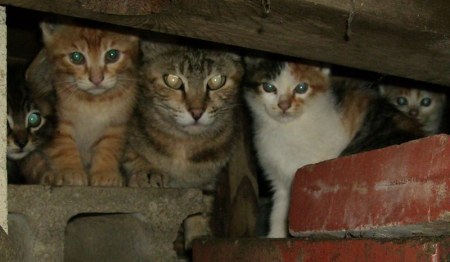 ��� ������ ����� ��! ;)