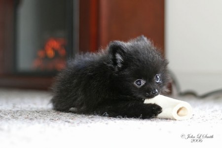 ������-������� :)