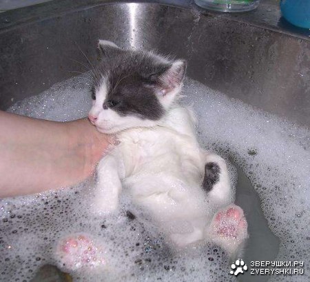 ��������� ����� :)