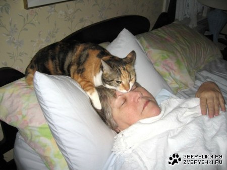 ������ ��������� �� �������� ���� :)