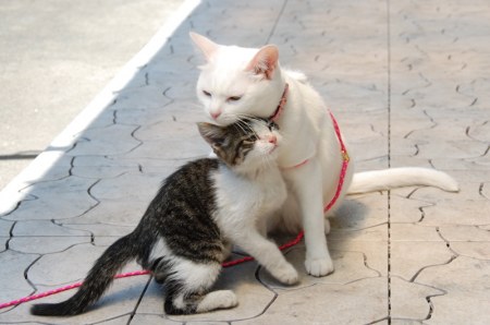 ����� ��������, ����������! ;)