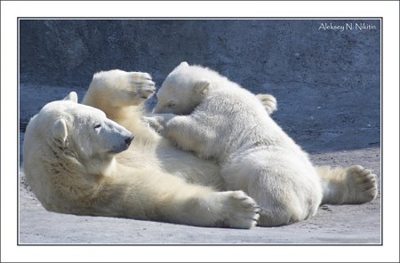 ������ ����� ������� ������ :)