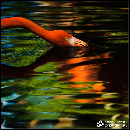 ������� �������� (3 ����)