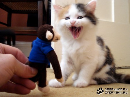 � � ���� ����! ;)