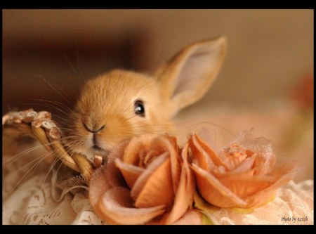 ������� ;)