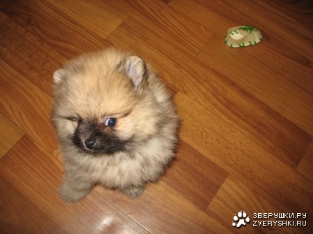 � ��-��, ������! ;)