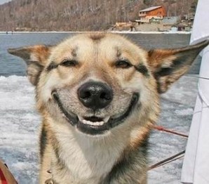 ���������� :) (12 ����������)