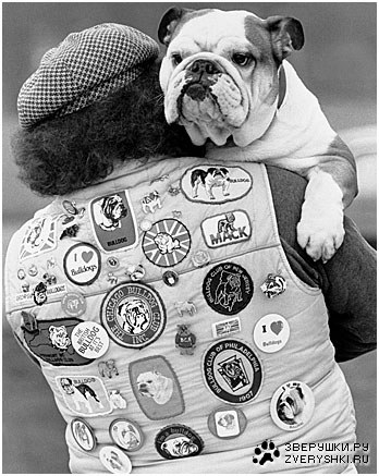 ������� �������� (11 ����)