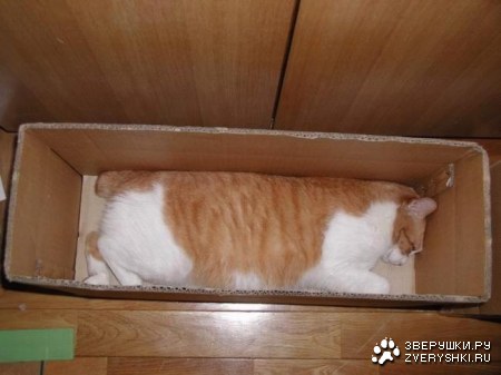 ������� ������ (16 ����)