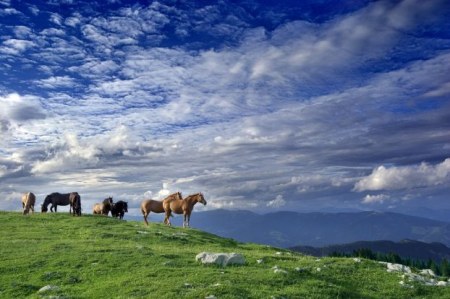 �������� ����������!