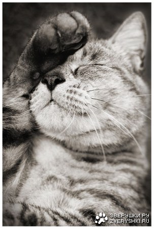 ��������� ���� :)