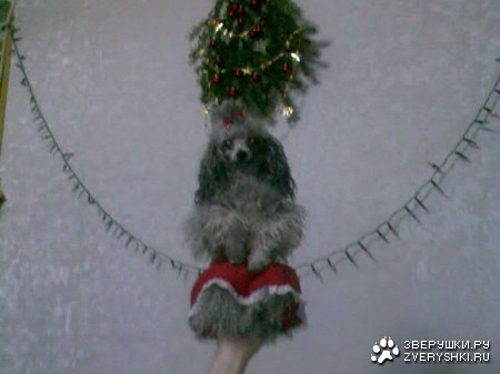 � �� � � ����� ����� ��������� ;)